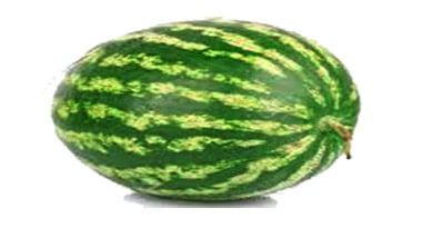 l'anguria