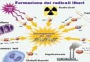 radicali liberi