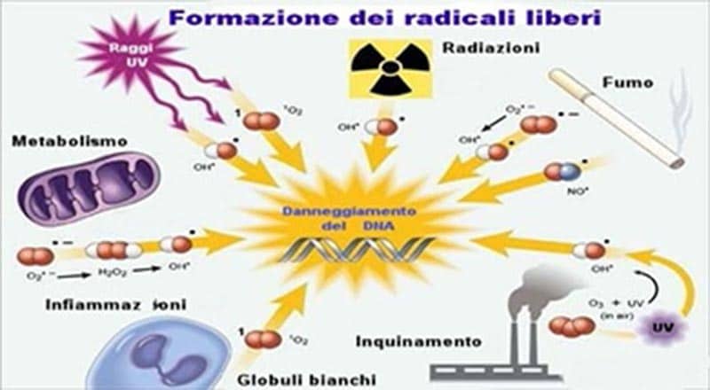 radicali liberi