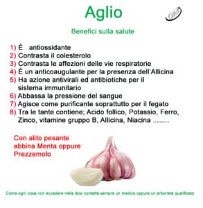 proprietà e benefici dell'aglio