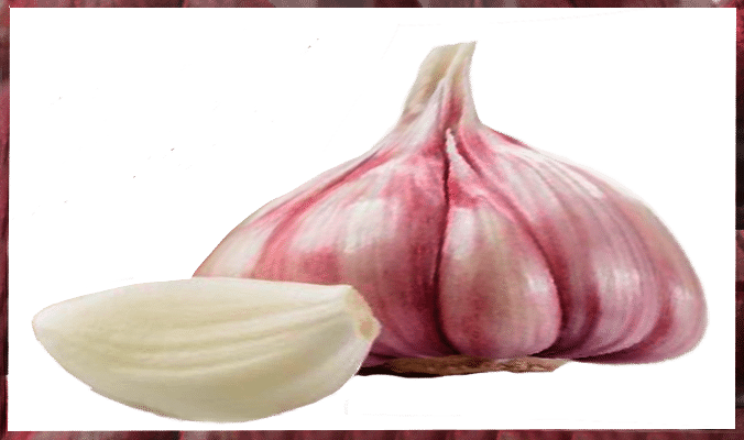 proprietà dell'aglio