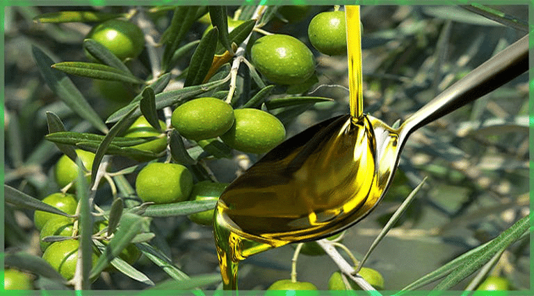 olio extravergine di oliva